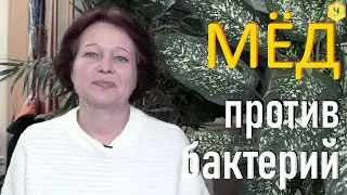 Антибактериальные свойства мёда