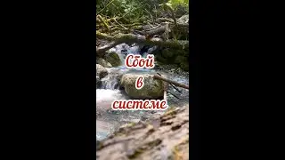 Сбой в системе, Златенция Золотова, 