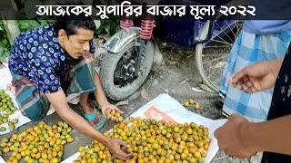আজকের সুপারির বাজার মূল্য ২০২২ | পাকা সুপারির দাম কতো ২০২২