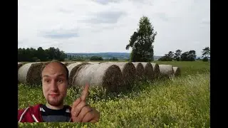 So könnt ihr qualitativ hochwertiges Heu erkennen