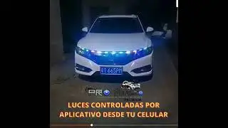 LUCES PARA CAPOT DELANTERO O TRASERO