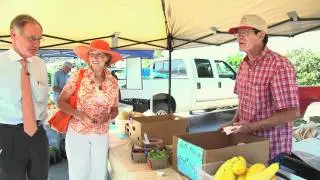 Inside OSU - OSU Farmer's Market