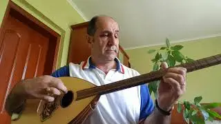Mit koje sherine