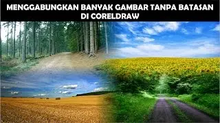 Cara Menggabungkan Banyak Gambar Tanpa Terlihat Batasnya Di CorelDRAW