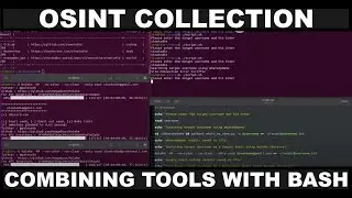 OSINT Collection: Combining Multiple CLI Tools with Bash Scripts
