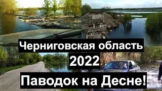 Черниговская область / Разлив Десны / Паводок / Весеннее половодье, май 2022