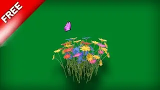 Beautiful flowers green screen | flowers green screen video | green screen flower effect