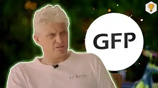 Тиньков поясняет за GFP (18+)