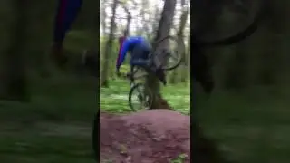 ЖИВОООТ