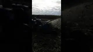 Убираем остатки капусты