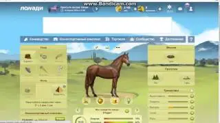 Lowadi #2 (Пополнение)