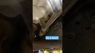 this car has a WHAT??!