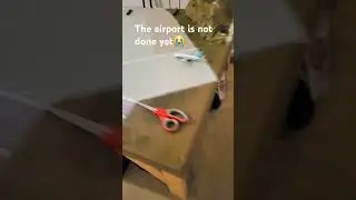 Flight