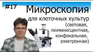 Микроскопия. Клеточные культуры. Световя. Флюорисцентная. Конфокальная. Электронная.
