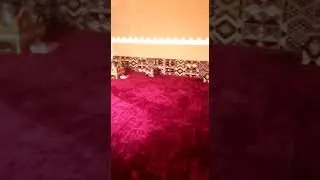 Saudi Arabia Decoration .