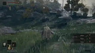 Elden ring пытаюсь не умирать слишком часто
