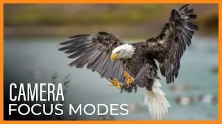 What Are The Camera Focus Modes?