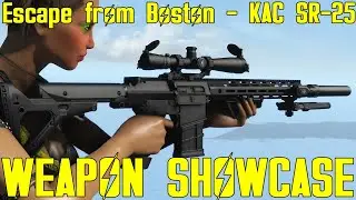Fallout 4: Escape from Boston - KAC SR-25 - Weapon Mod Showcase