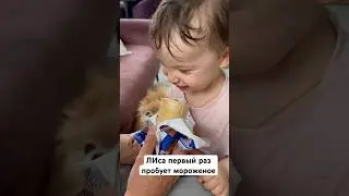 Первый раз пробуем мороженое 🍦 
