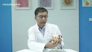 Dr Anubhav Gulati | Meniscus Tear | Manipal Hospital Gurugram