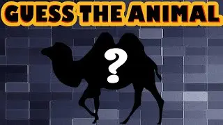 Can You Guess the Animal Quiz#1 | Guess the Animals Shadow | Animal Quiz Guessing Game