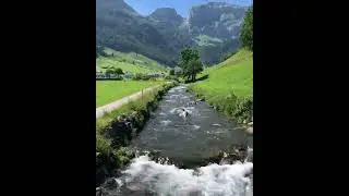 wow amazing nature 