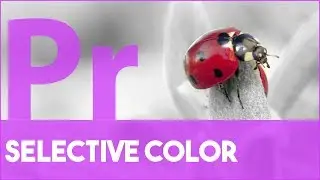 Selective Color in Premiere Pro