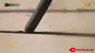 Sevgi Istrobi 118 qism turk seriali uzbek tilda