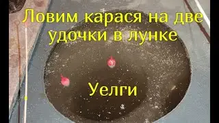 Эксперимент - ловля 2 удочками в одной лунке. Уелги 31.01.2021