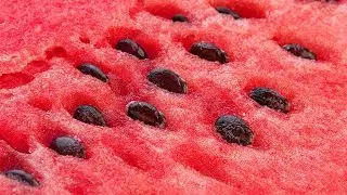 Propiedades Curativas De La Semilla De Sandia - La Semilla De Sandia Beneficios