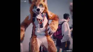 Italian #furry be like 🤌🤌 #fursuit