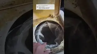 How do we render beeswax?