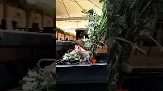 Шпреевальд в Германии
