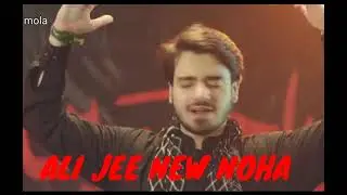 Ali Jee New Noha Promo 2021 1443