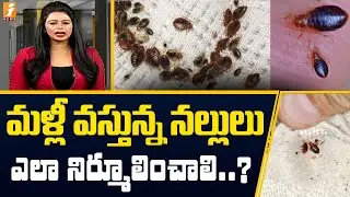 మళ్లీ వస్తున్న నల్లులు | Bed Bugs Returns in India | inDepth | iNews