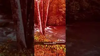 Smokey Mountains from wife’s TikTok