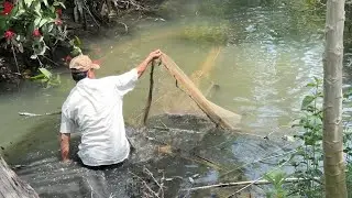 Nước Trong Thì Khó Bắt Cá