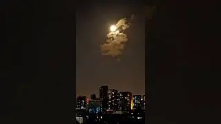 2023.06.05