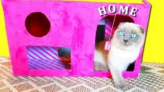 Розовый ДОМИК для КОШКИ из коробки от кукол ЛОЛ? КАК сделать Новый домик для котят СВОИМИ РУКАМИ DIY