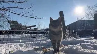 2023. winter in the Zaporizhzhia region