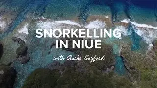 Snorkelling in Niue with Clarke Gayford