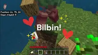 minecraft with my partner (BilBin the chickens!!!)