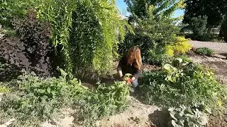 The Chicken Coop Flower Bed Needed Some Attention! 🌿✂️ // Garden Answer