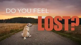 5 Signs That You Lost Your Purpose