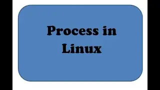 Process and its types Part 2