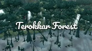 Let's Play World of Warcraft | Terokkar Forest!