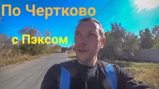 Прогулка по Чертково с Пэксом