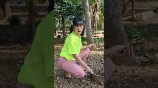 Newest Mochi funny Best video 😂😂😂#mochi