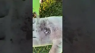 April 13, 2024 Metal Detecting