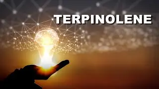 Terpene Tuesday - Terpinolene